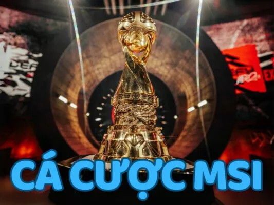 hướng dẫn cá cược msi