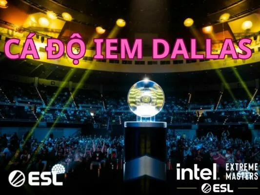 hướng dẫn cách chơi cá độ iem dallas
